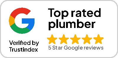 top rated plumber google